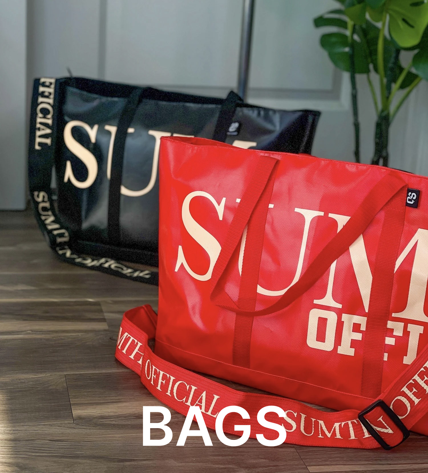 BAGS